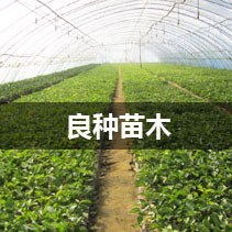 32吋觸摸屏智能售貨機(jī)